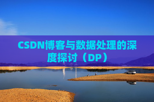 CSDN博客与数据处理的深度探讨（DP）